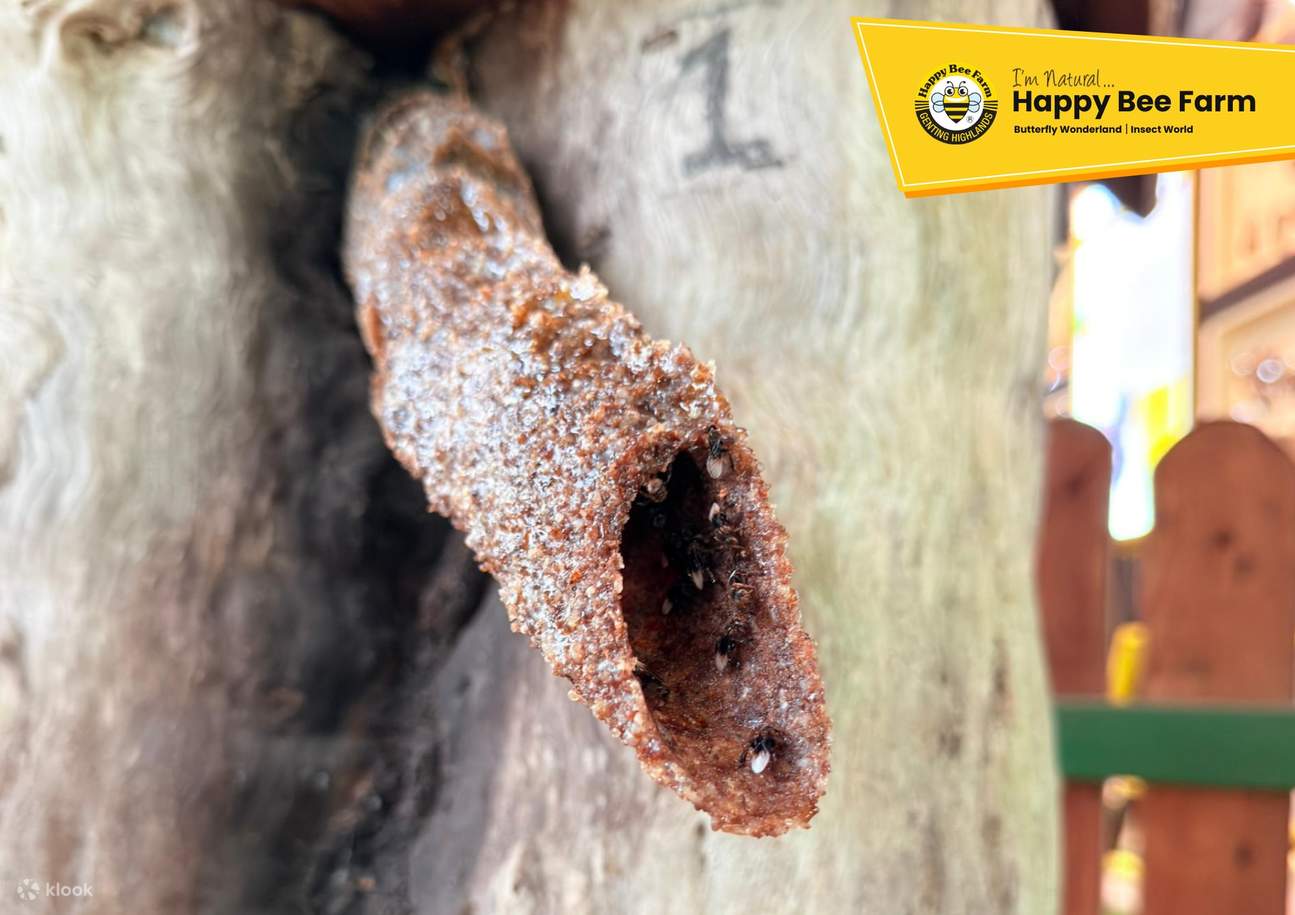 ゲンティンハイランド ハッピービーファーム入場チケット