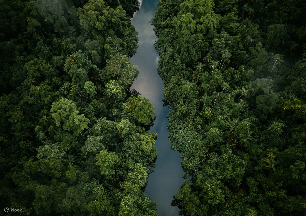 丹翠雨林
