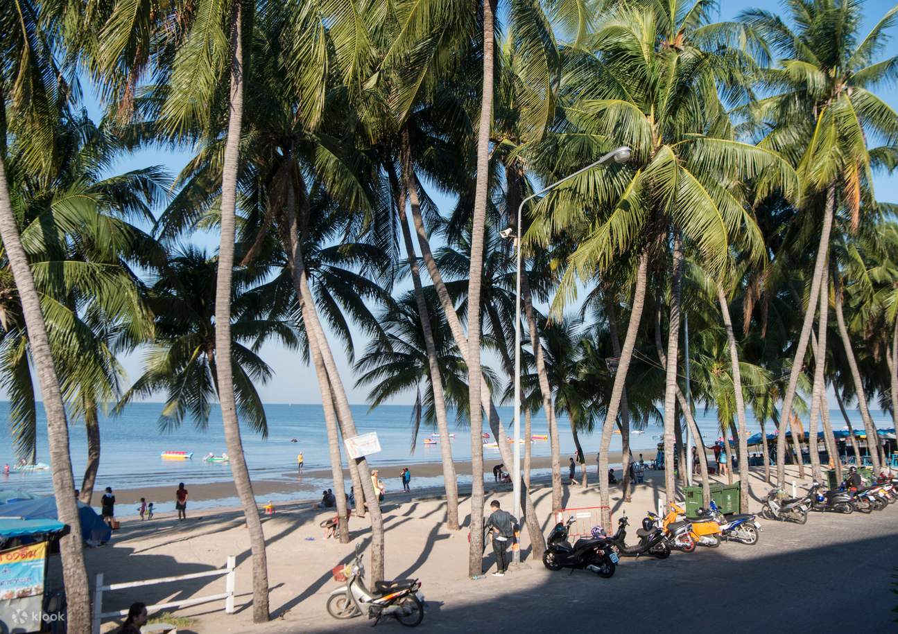 無料eSIM バンセンの隠れた日本スタイル（飛行機カフェ、魚市場）