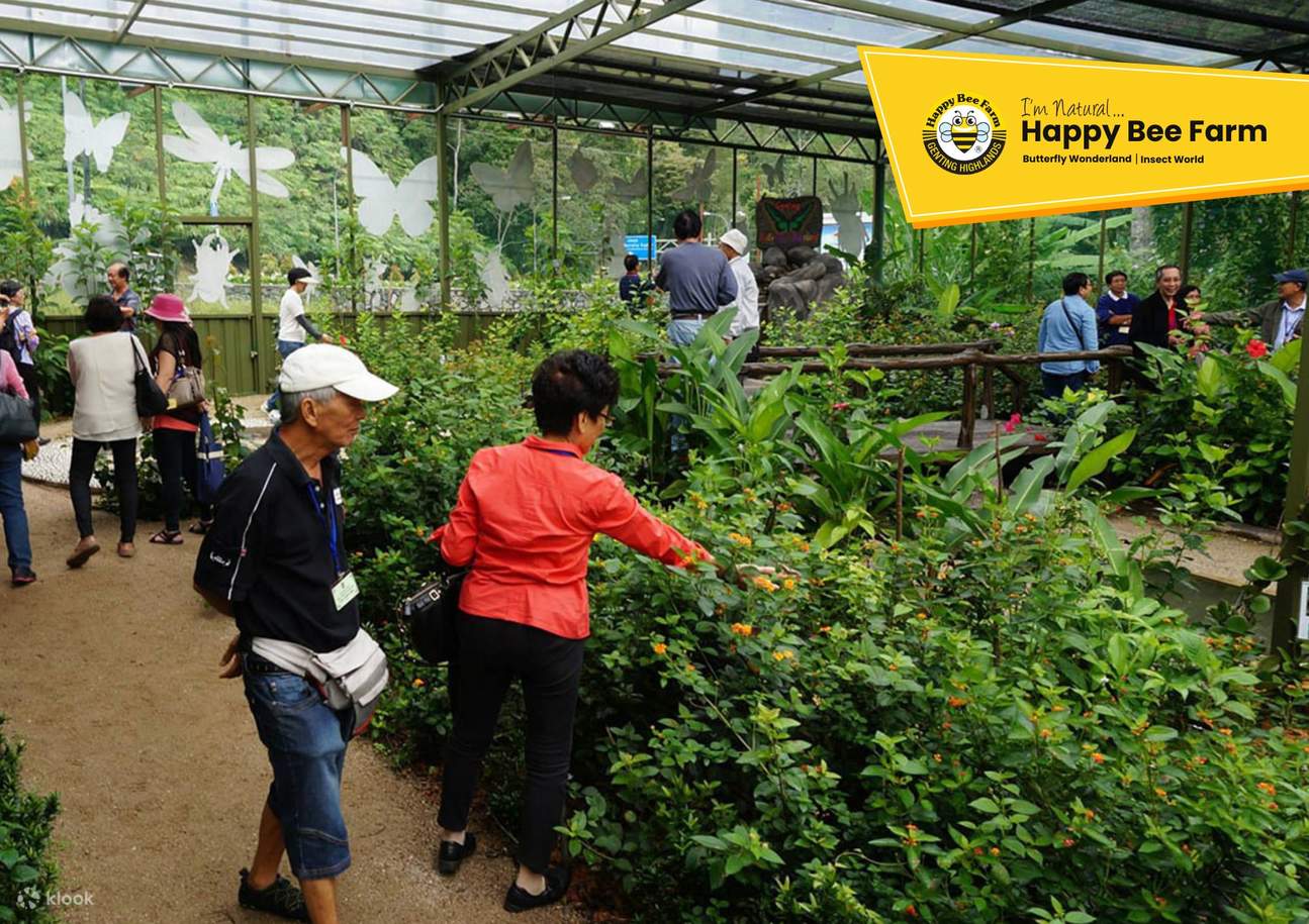 雲頂高原Happy Bee Farm快樂蜜蜂世界門票