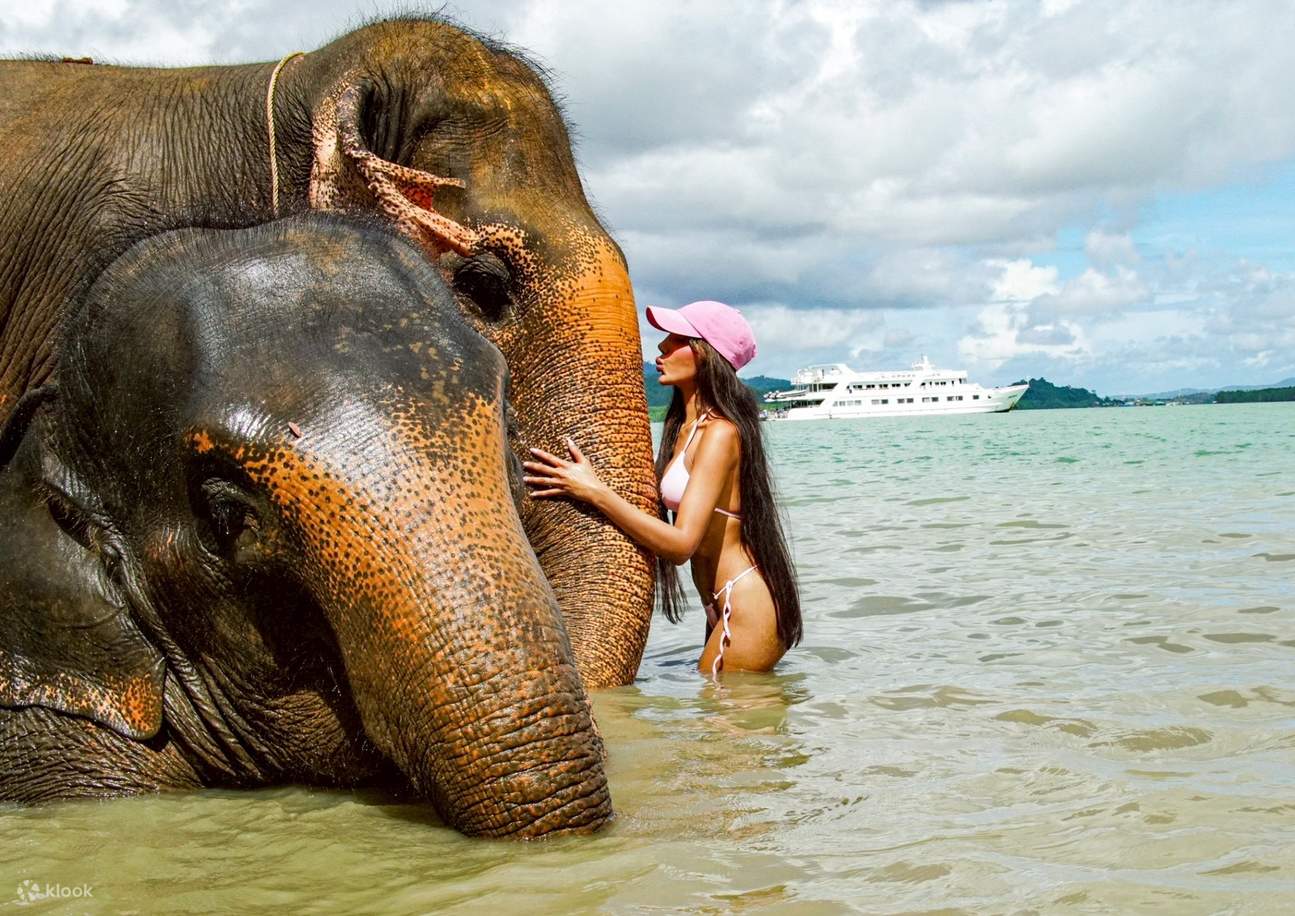 Pengalaman Gajah dan Pantai di Phuket Siray Elephant Care Camp