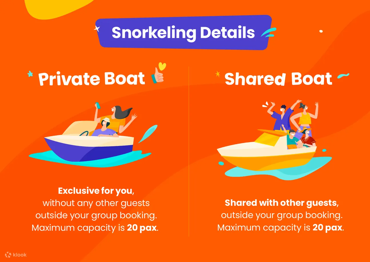 infographic snorkeling boat type