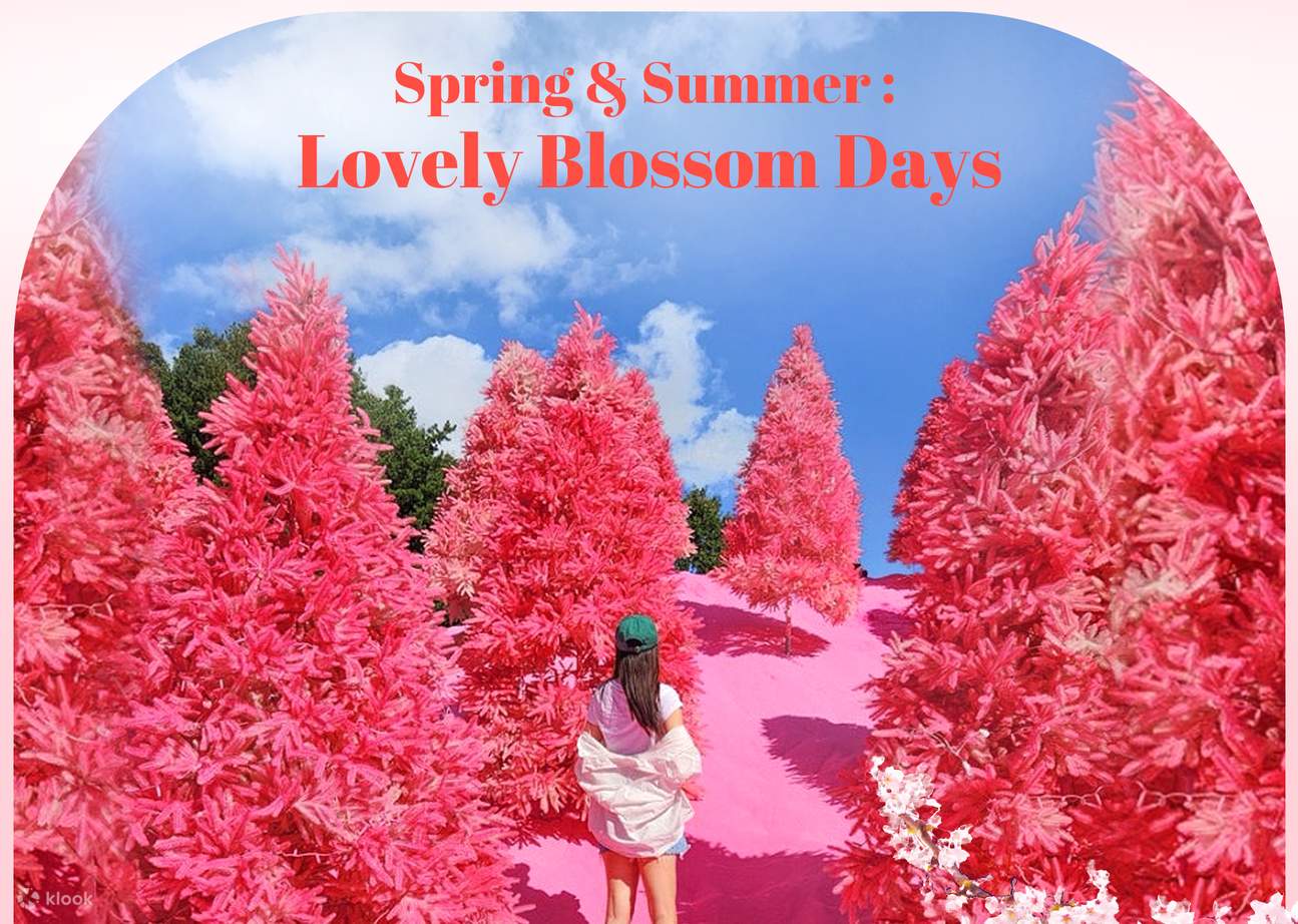 Romantic Winter Festival Tour from Seoul Klook Australia