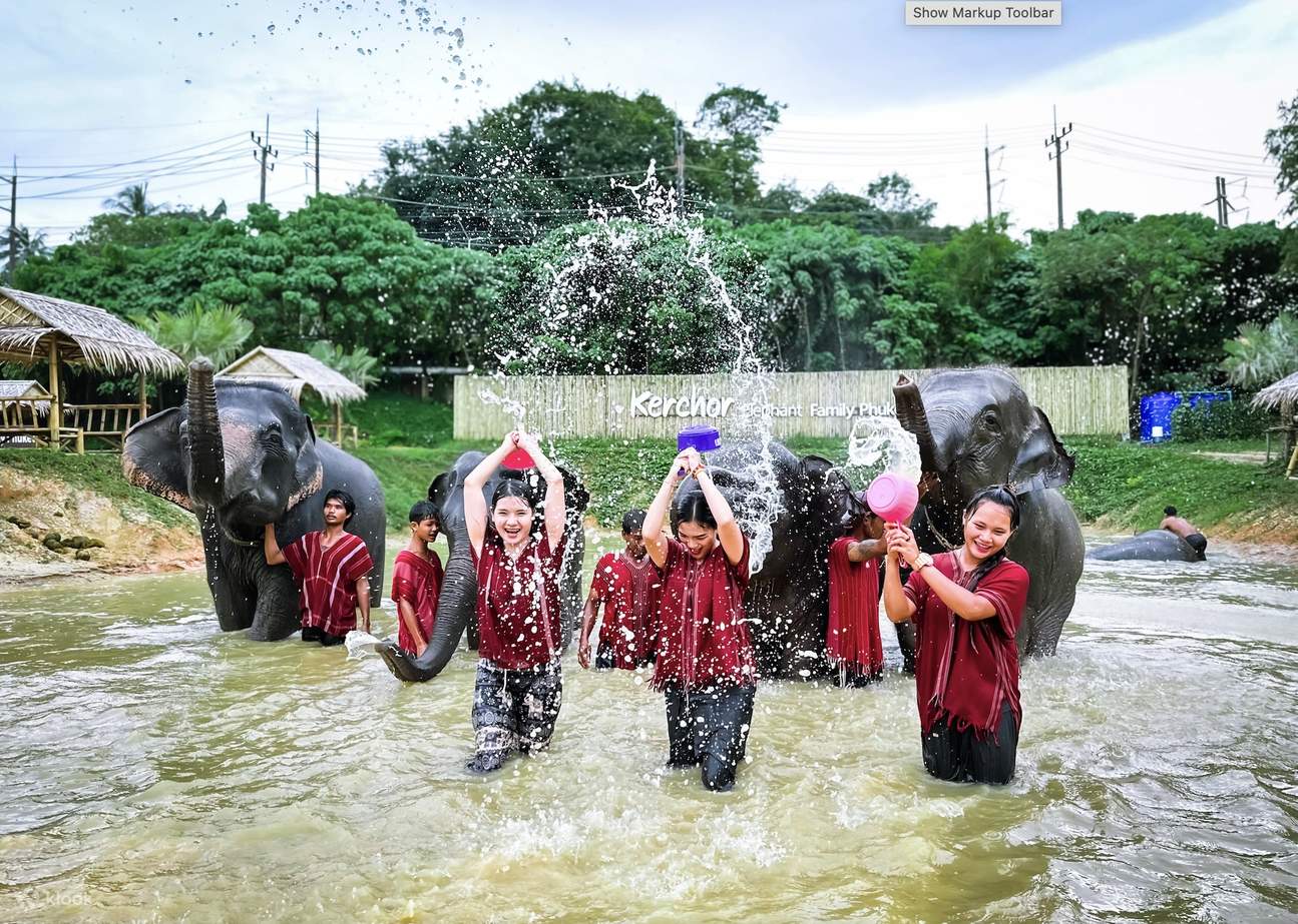 吉雀大象家庭布吉保护区半日游