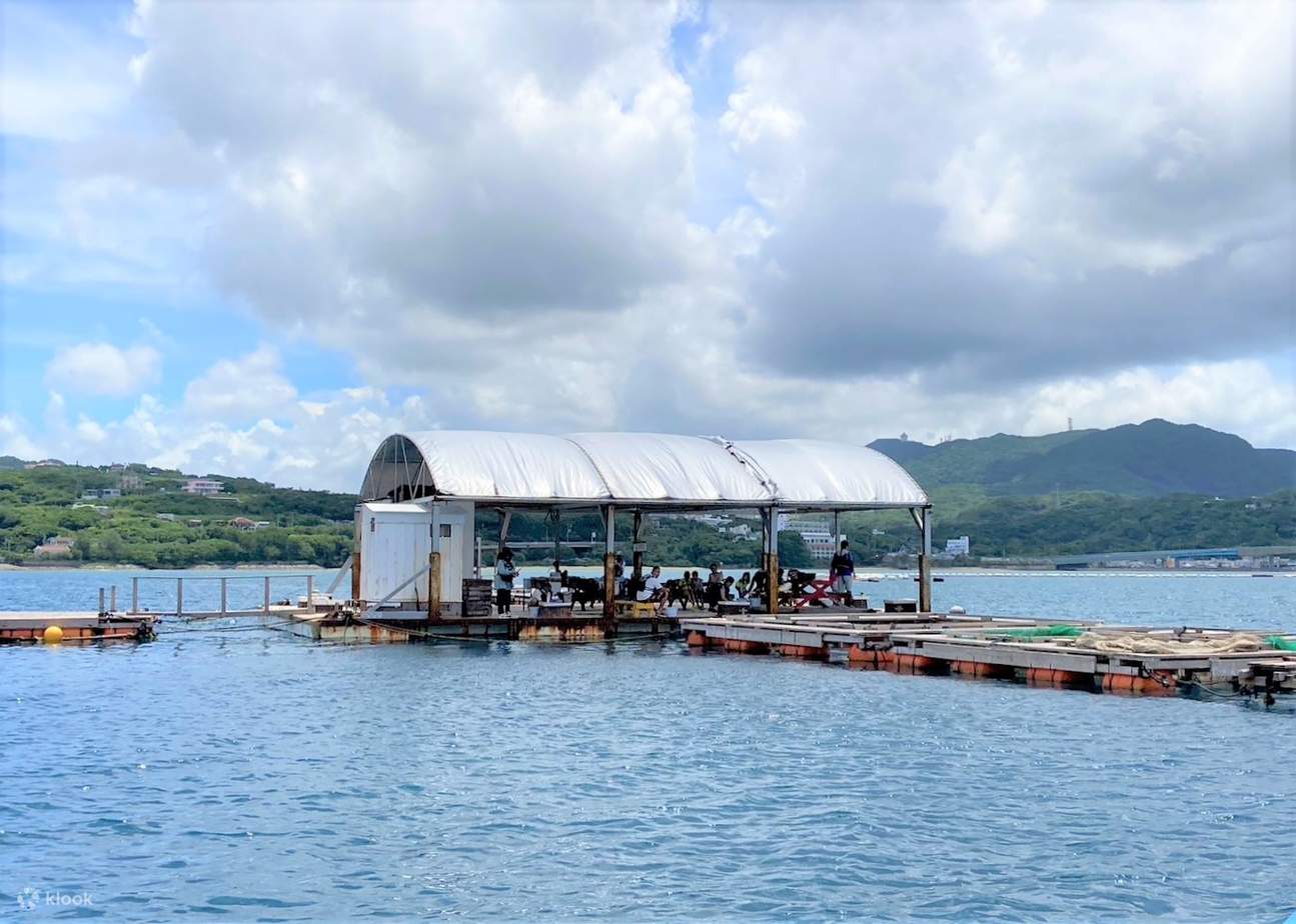 Fish Types Raft Raft fishing experience (Okinawa) - Klook