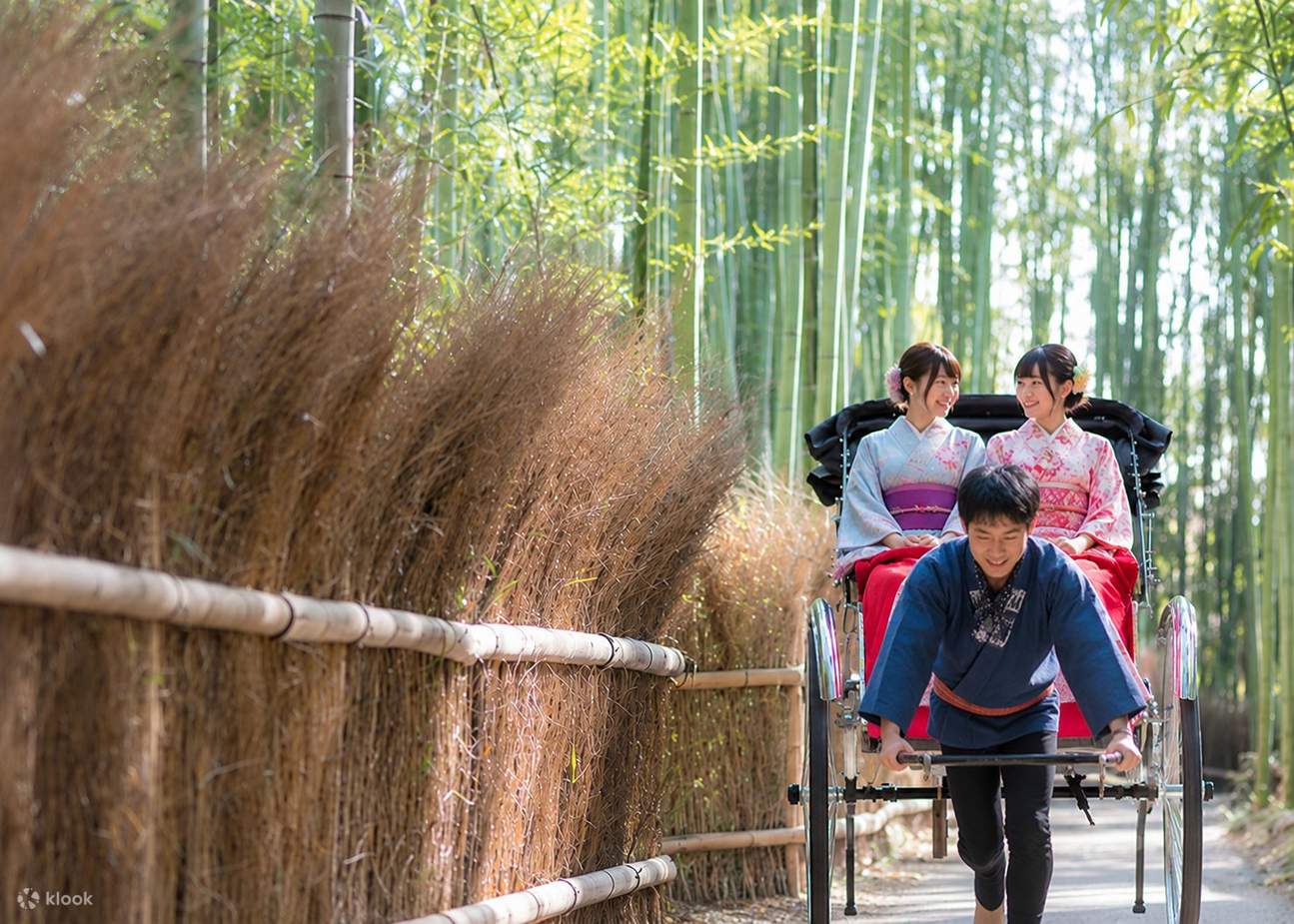 Arashiyama Bamboo Forest & Nara Park Deer & Fushimi Inari Shrine Torii ...