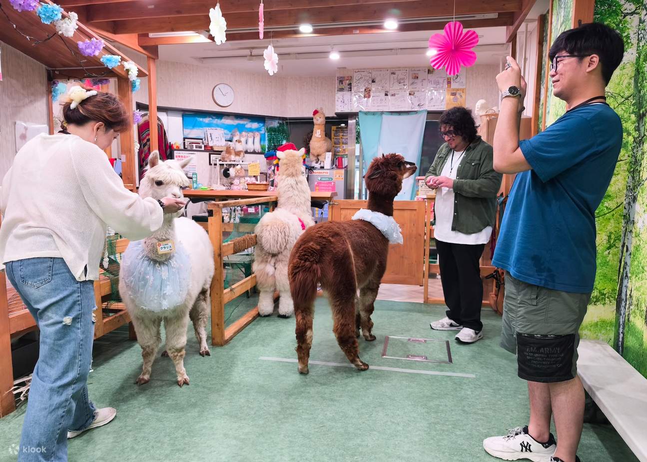 Vùng đất Alpaca Fureai