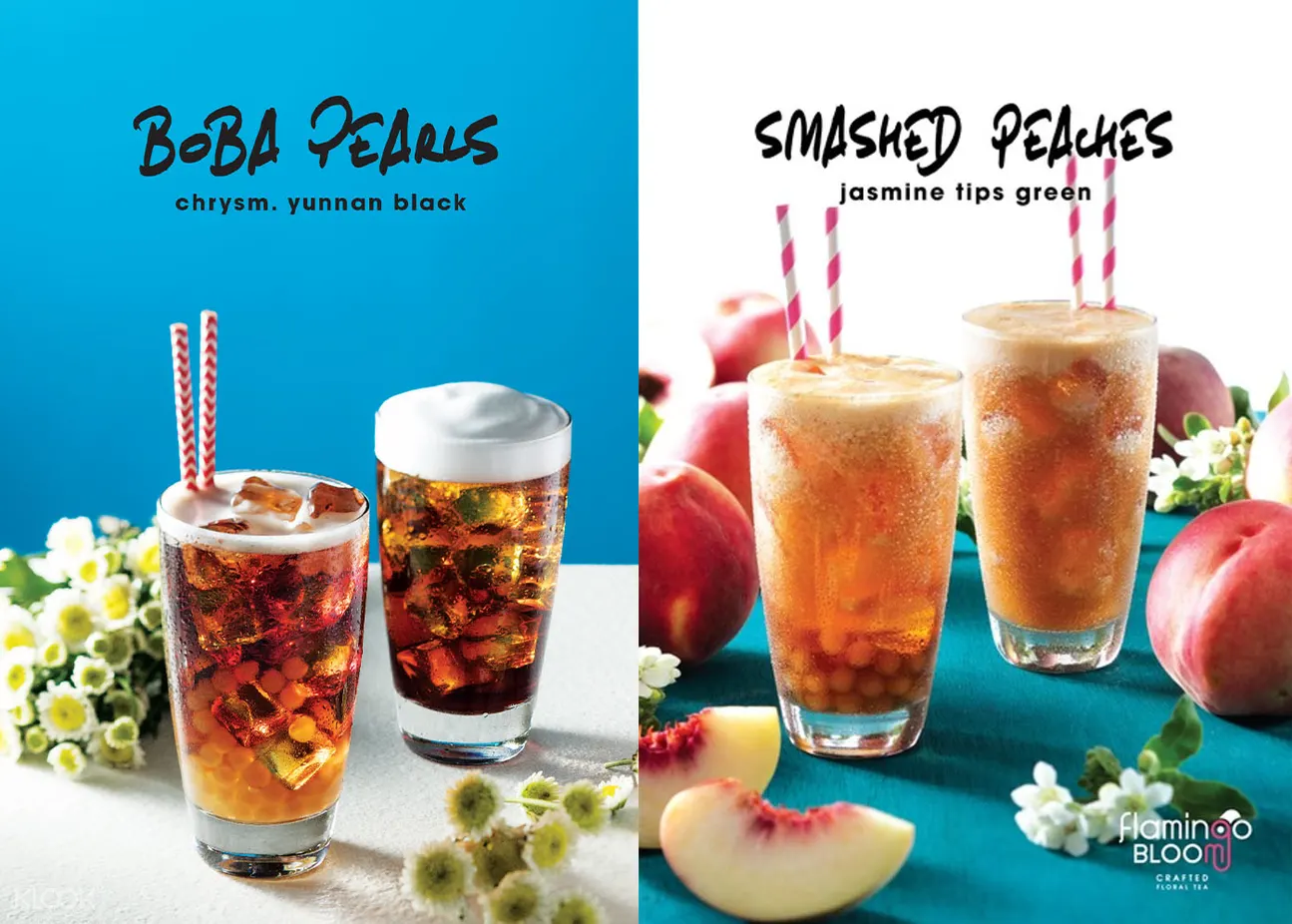 香港flamingo bloom