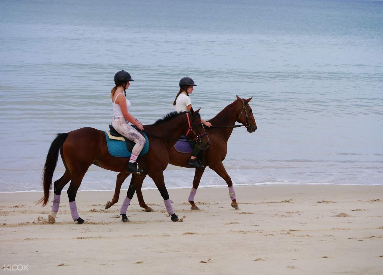 Horseback Riding Experience in Phuket, Thailand Klook Malaysia