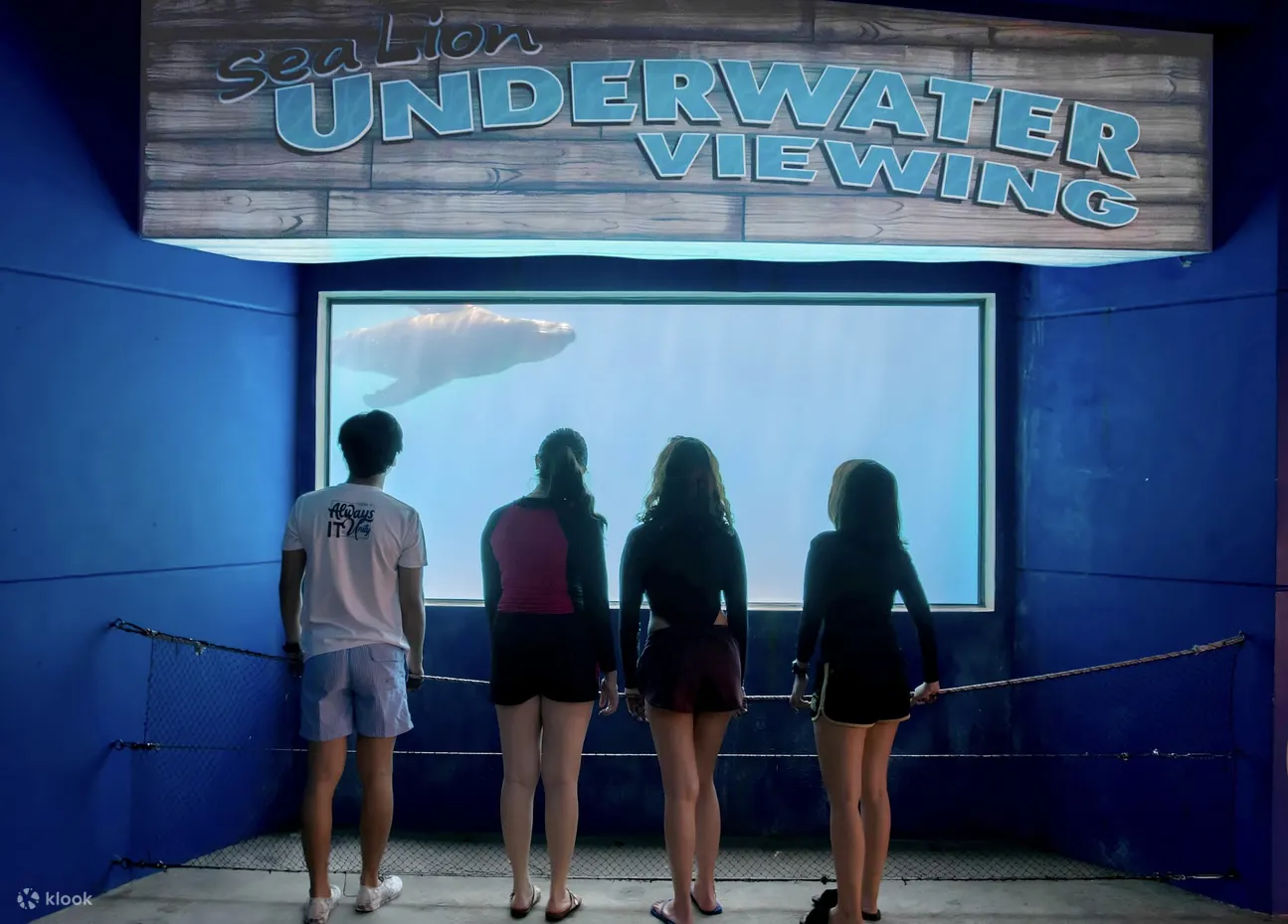 海洋探险水族馆