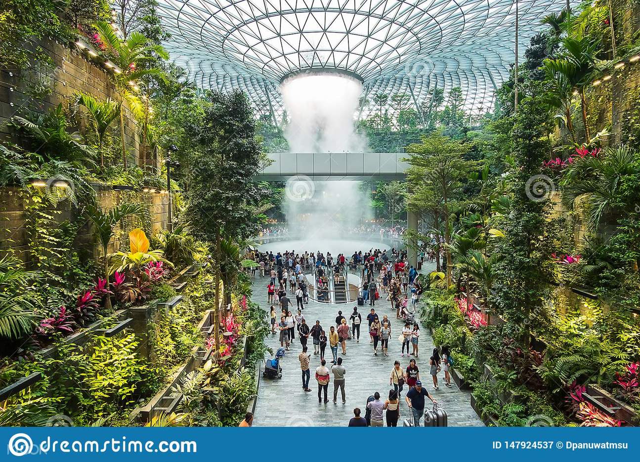 Visit Canopy Park & Shiseido Forest Valley HSBC Rain Vortex @ JEWEL ...