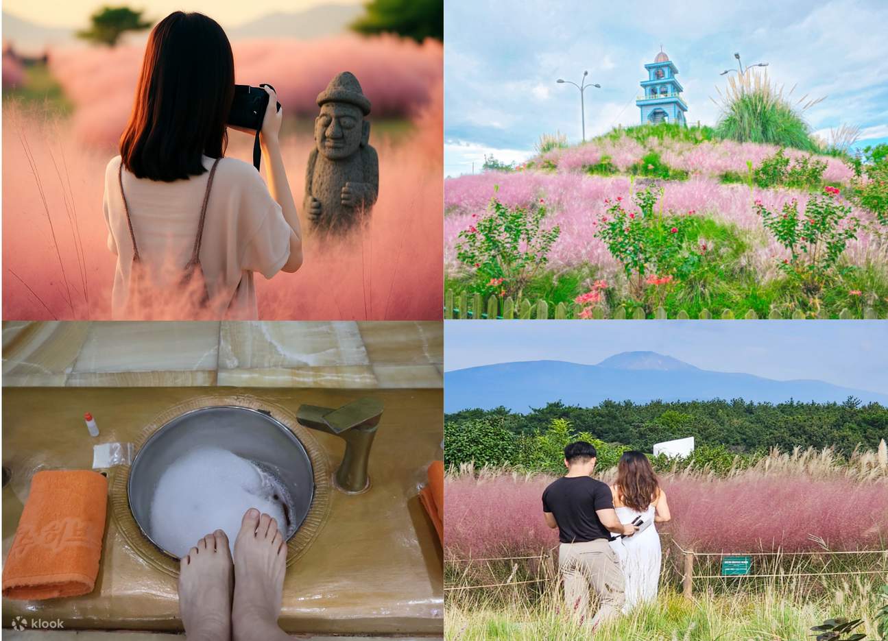 Jeju Private Car Charter with Local Expert Driver-Guide