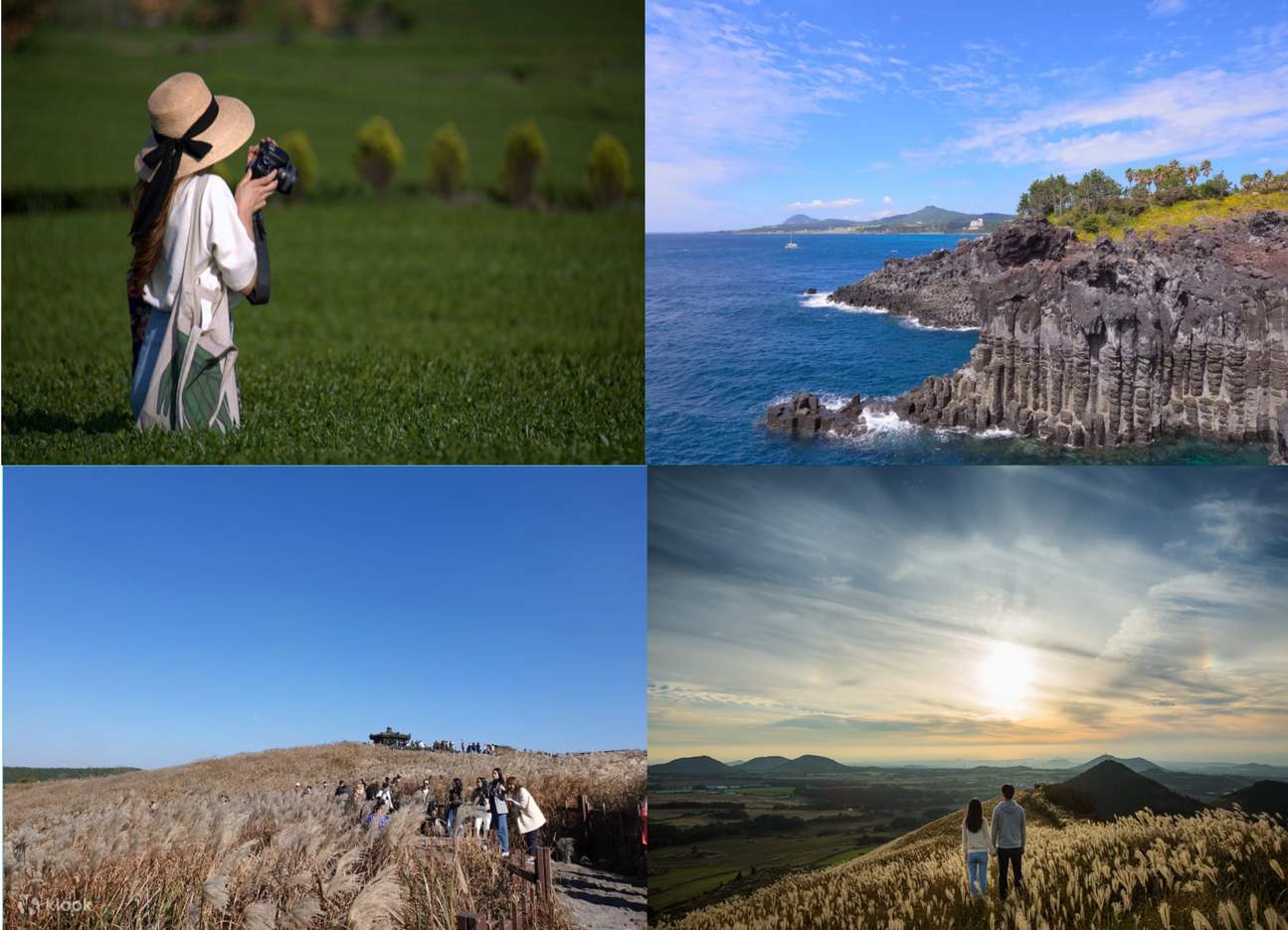 Jeju Private Car Charter with Local Expert Driver-Guide