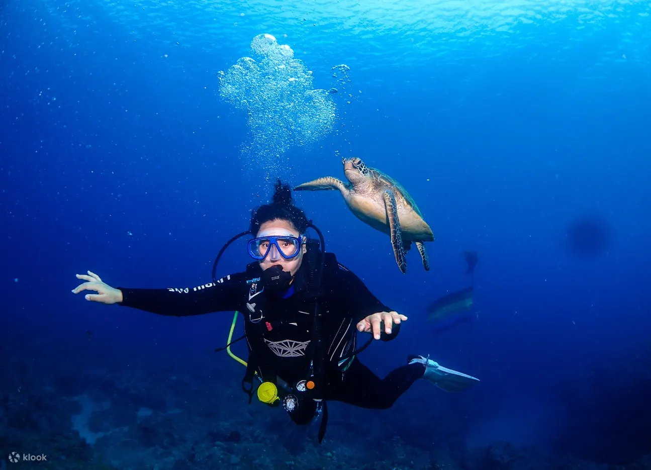 琉潜 Liuqiu Dive
