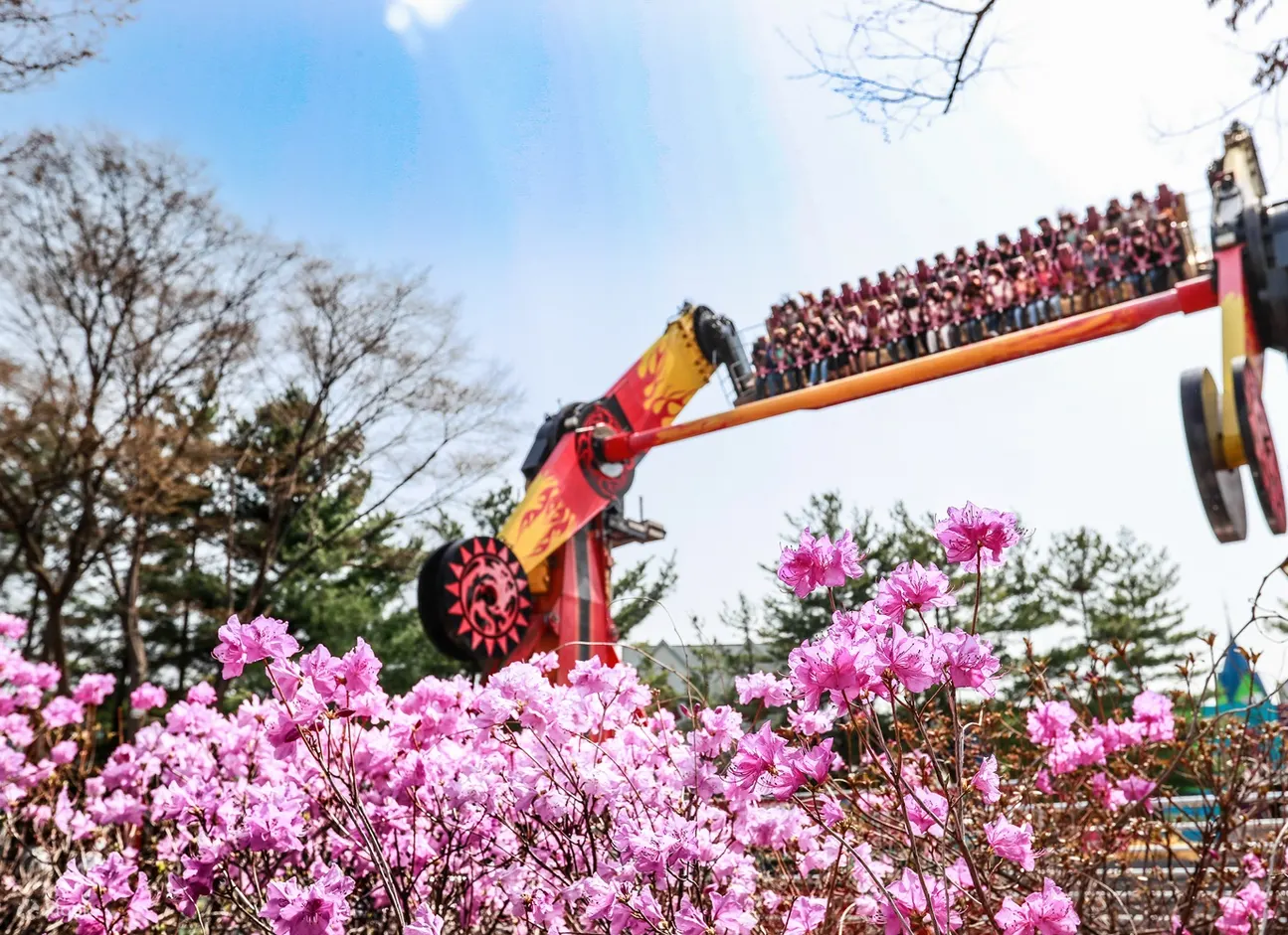 首尔乐园主题公园门票
