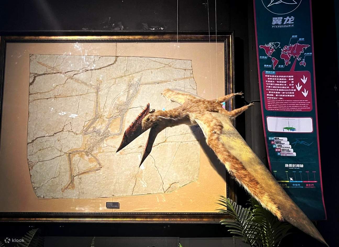 三亚恐龙馆- Klook客路