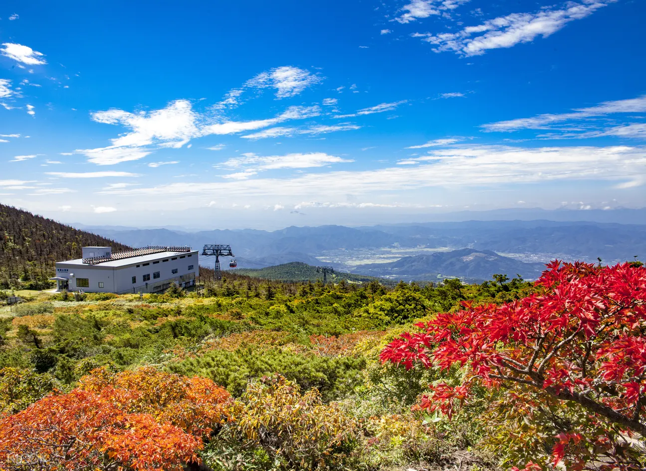 藏王纜車山頂往返車票