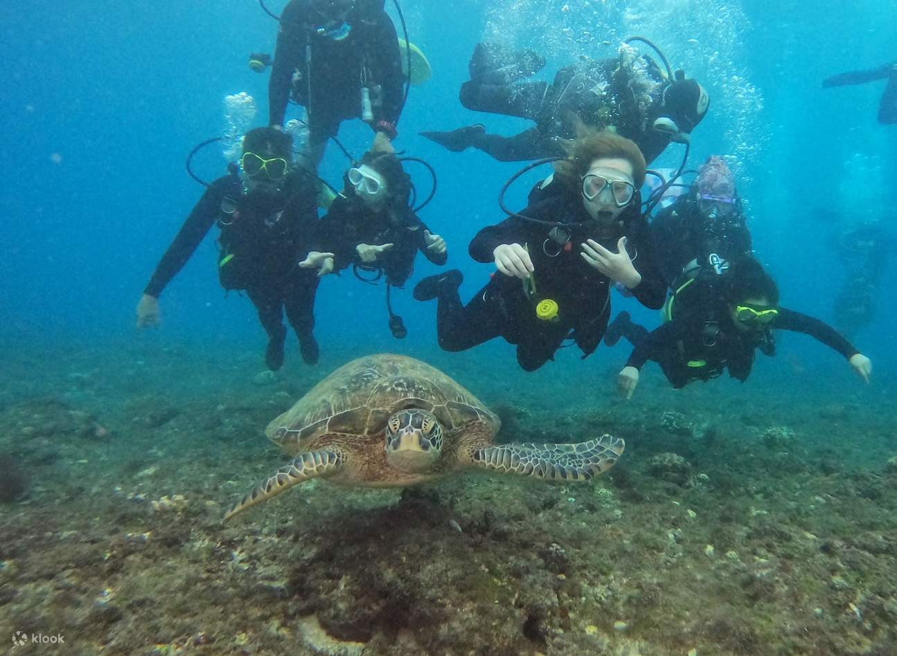 小琉球｜体验潜水｜一对一免证照｜赠防疫吸嘴
