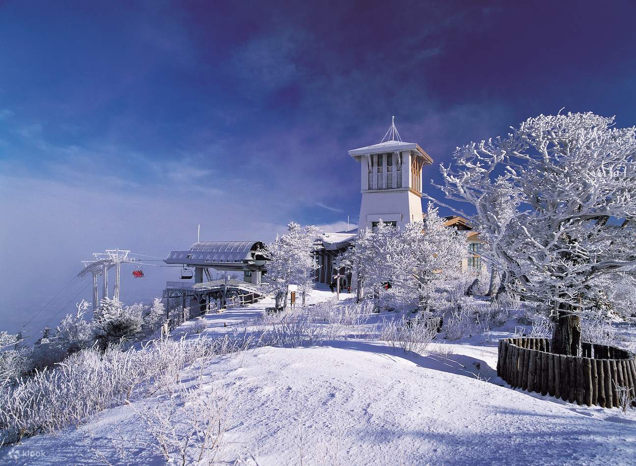 我們於 1975 年以韓國滑雪勝地之姿創立，如今已發展成為享譽全球的度假勝地，超越所有期待。