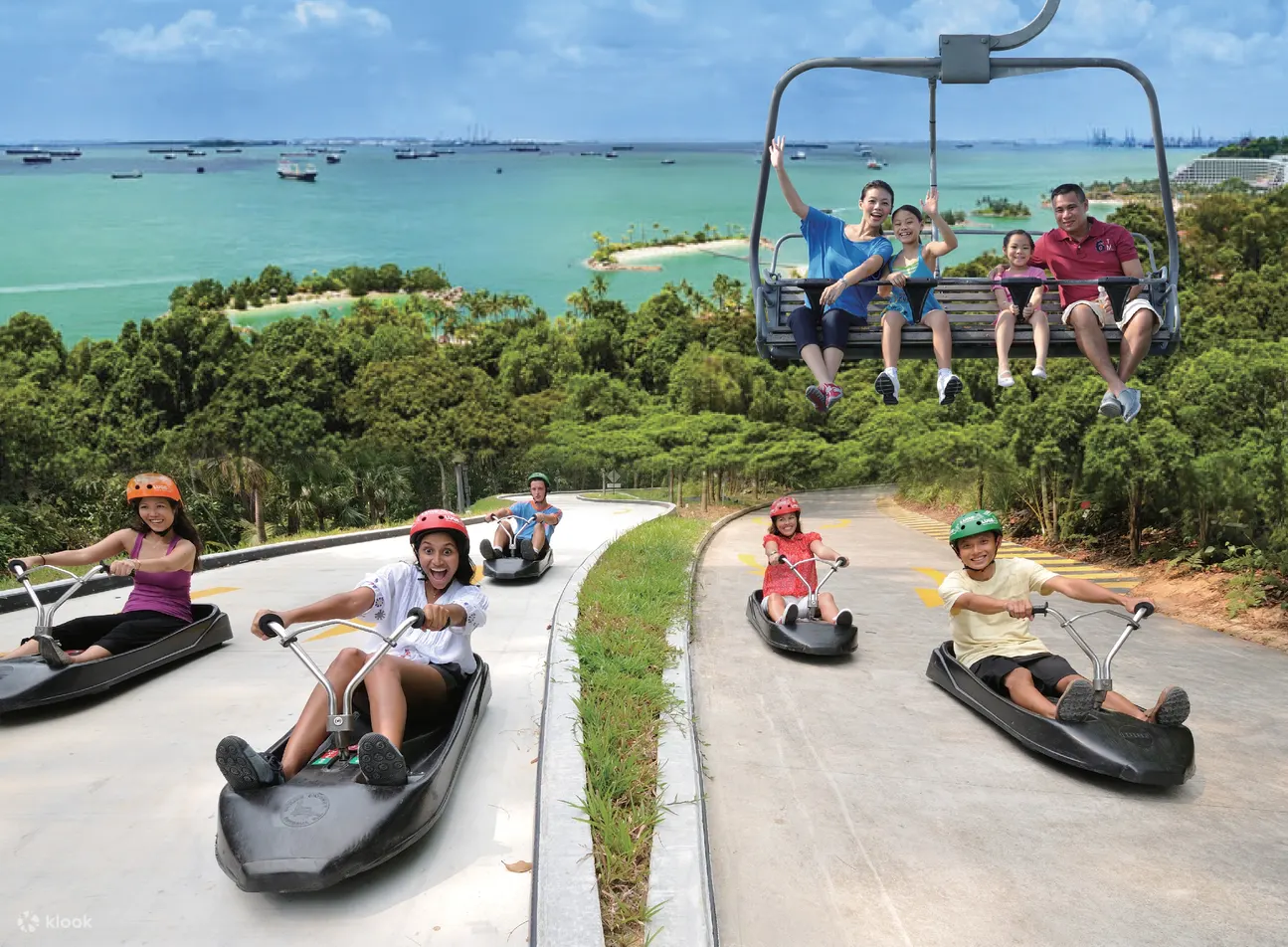 skyline luge
