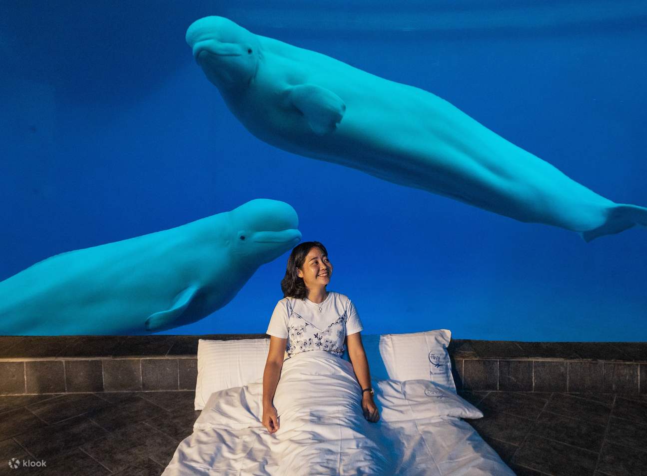 National Museum of Marine Biology and Aquarium Sleepover Experience in  Kenting - Klook United States