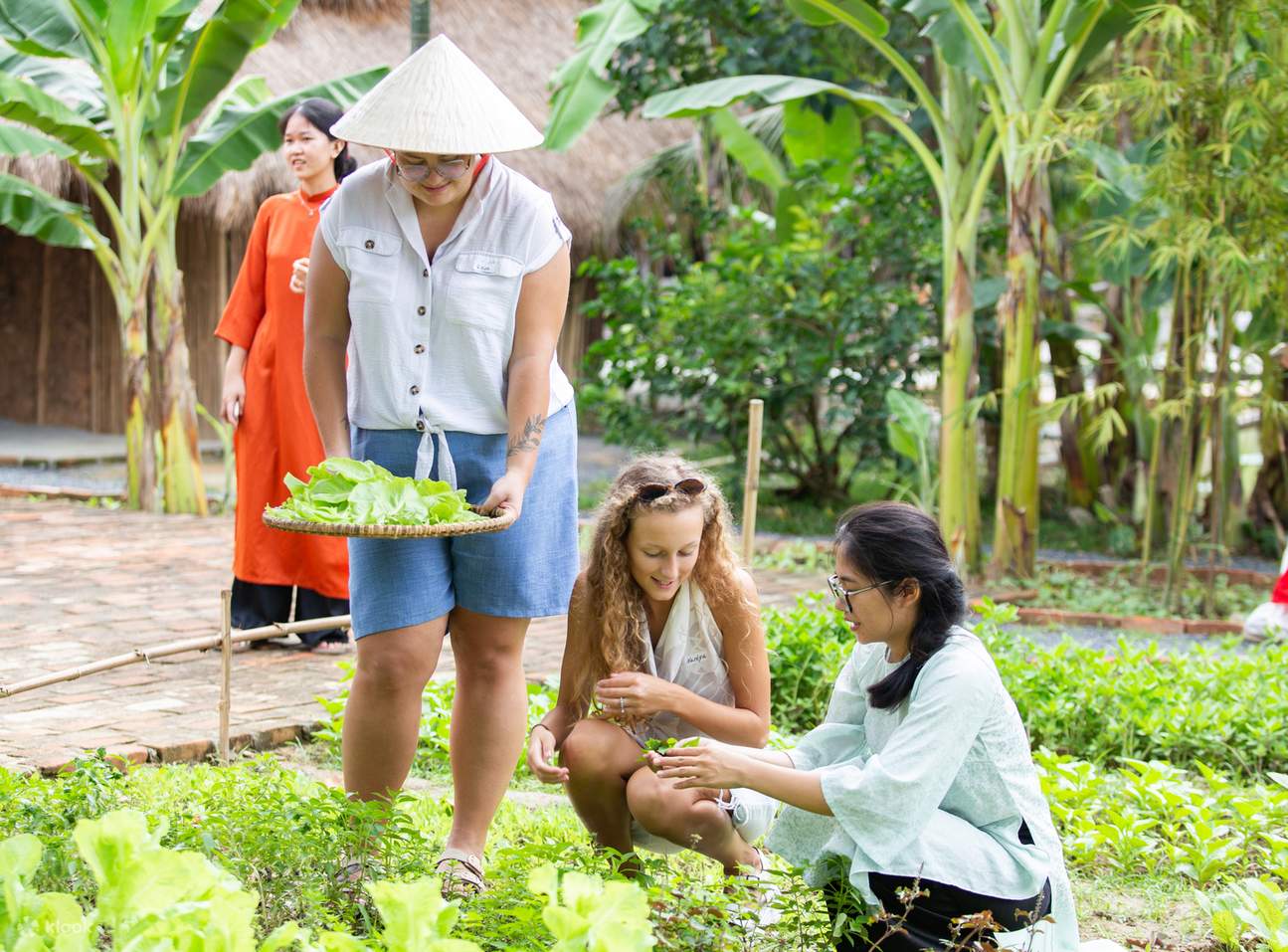 Memetik hasil bumi segar di kebun restoran Nha Trang Xua