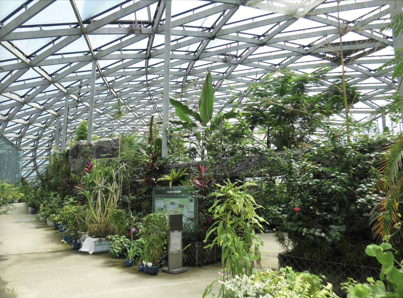 Синдзюку-гёэн