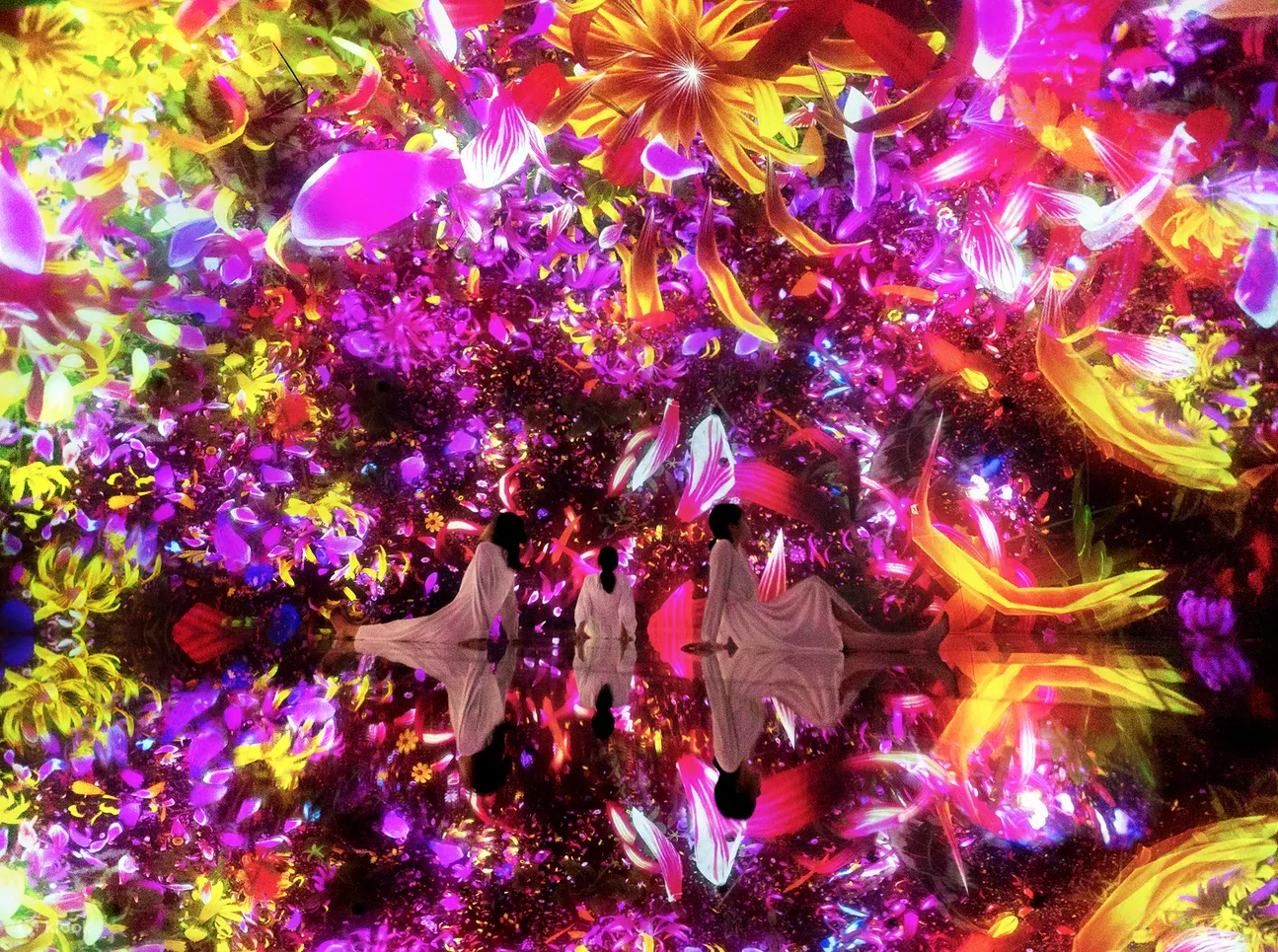 teamLab Planets TOKYO - 漂浮于落花世界