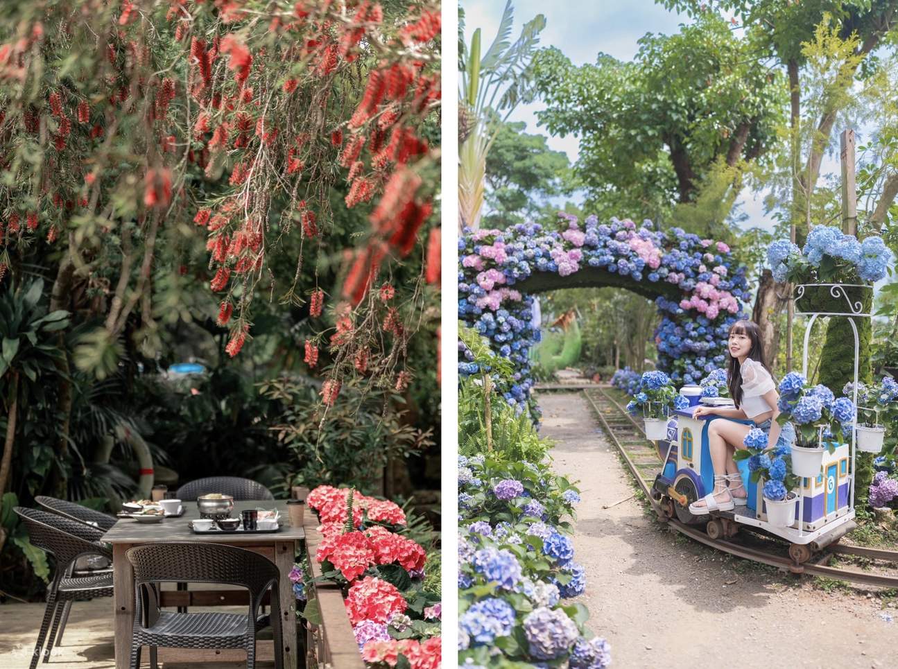 Flower Home Recreation Farm