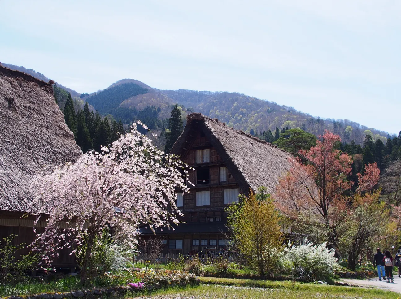 【名古屋發車】高山古街＆合掌村集落白川鄉(含午餐飛驒豬)