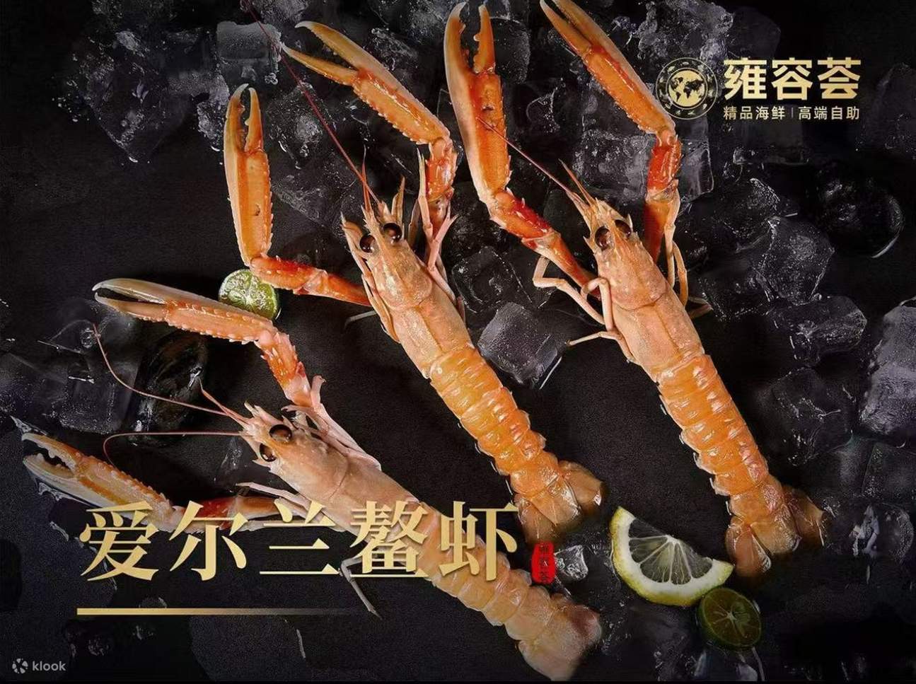 アイルランドは恵まれた地理環境のため、アカザエビの生育に非常に適しています。そのため、アイルランドのアカザエビは格別で、新鮮で美味しく、柔らかくもちもちとした食感です。透き通るような見た目も食欲をそそり、一口食べれば満足感に満たされます。非常に甘く、生臭さもありません。