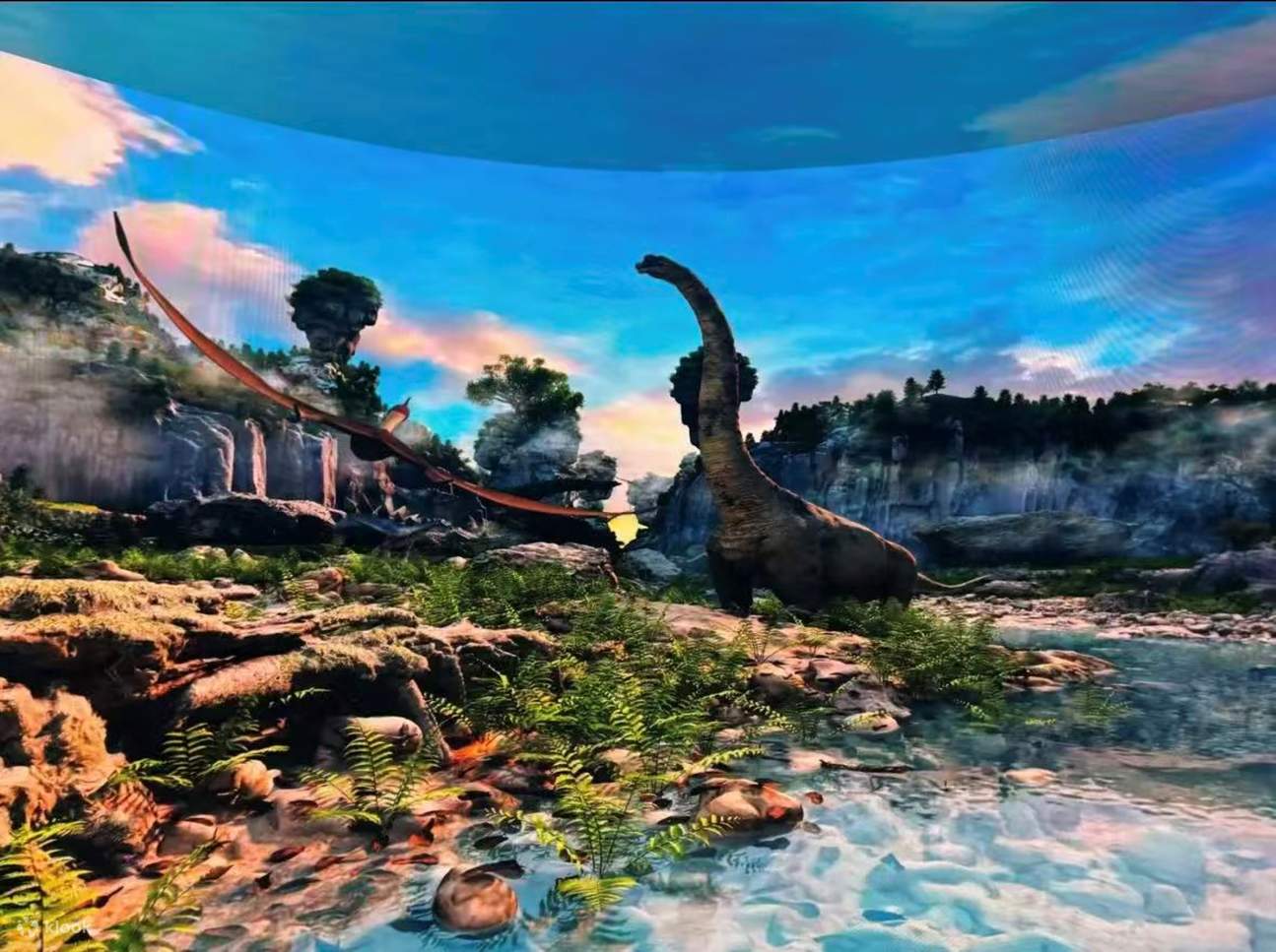 是一堂生動的“視覺公開課”，讓每個年齡段都能找到屬於自己的樂趣