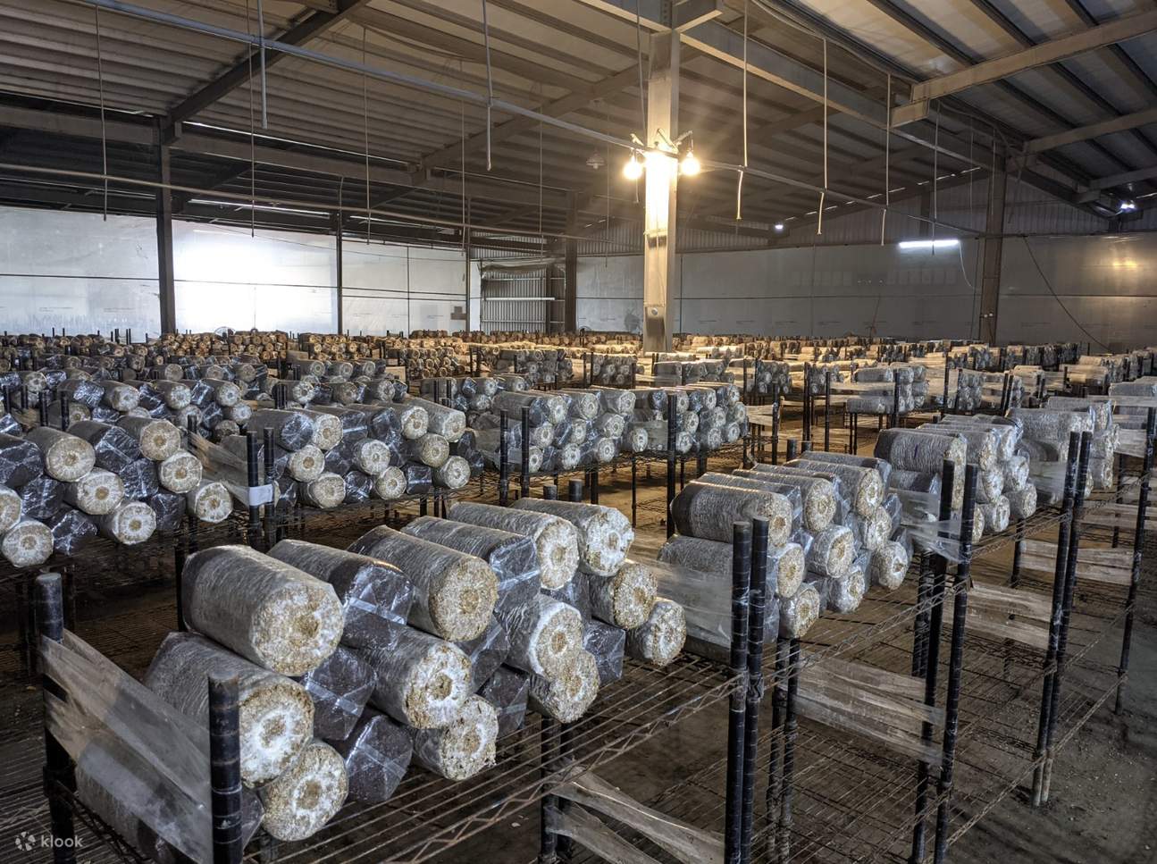 Эко-ферма Yunlin Chaoyang Green Energy Leisure Farm