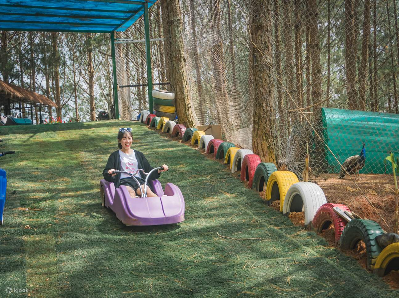 Vous pouvez aussi participer en scooter, ce qui convient à presque tout le monde.