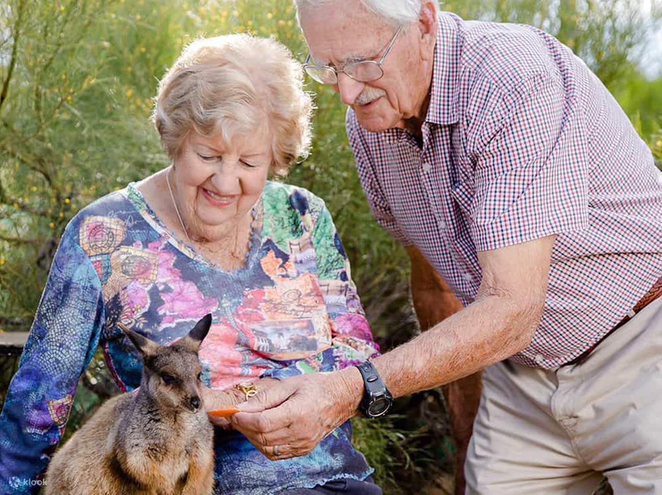 Ein teuflisch einheimisches Erlebnis im Monarto Safari Park