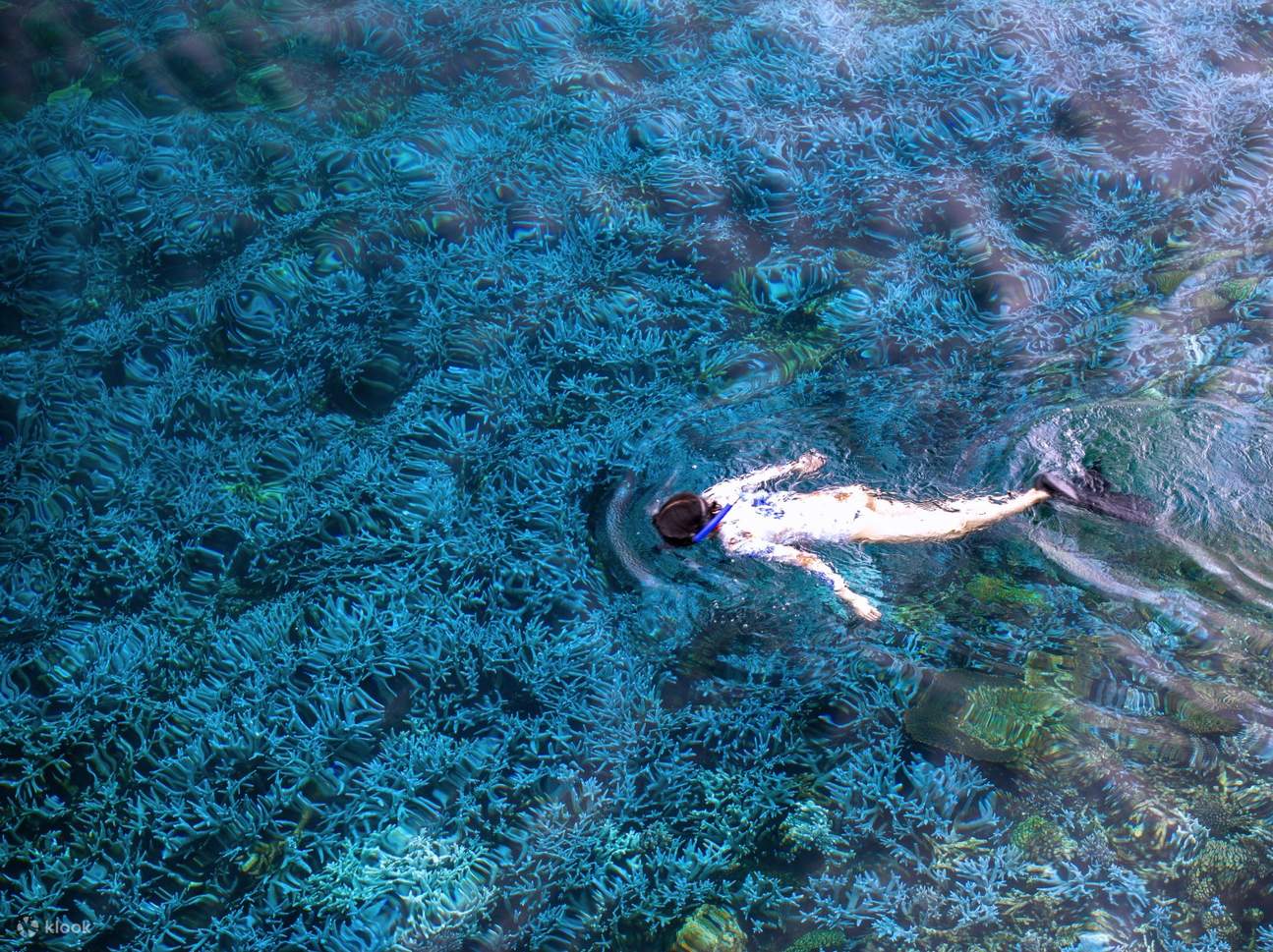 澎湖忘憂島夜泊:無人島一泊二食&日夜間浮潛&神秘夜光砂與珊瑚礁生態&免搭帳島嶼野營&沙灘篝火星空夜