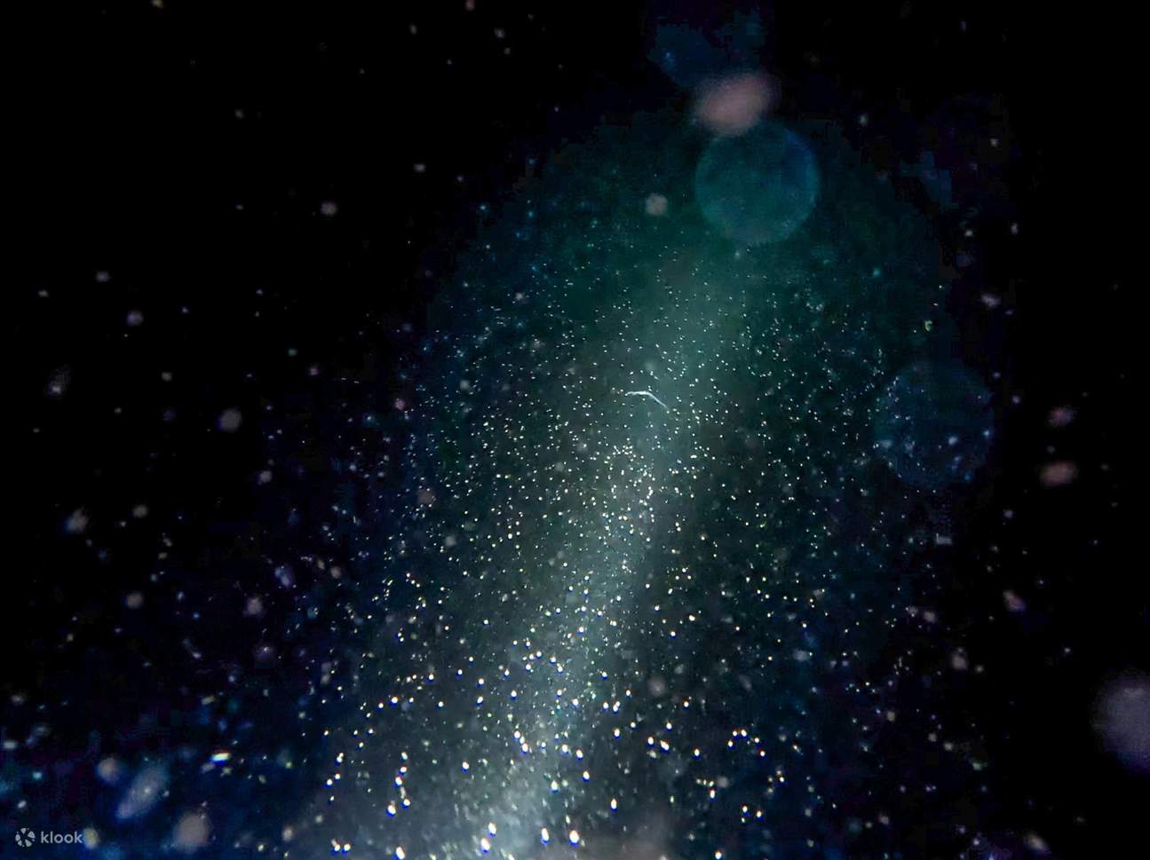 澎湖 忘憂島ナイトステイ：無人島1泊2食＆昼夜シュノーケリング＆神秘的な夜光砂とサンゴ礁生態＆テント不要の島嶼キャンプ＆砂浜の篝火星空ナイト