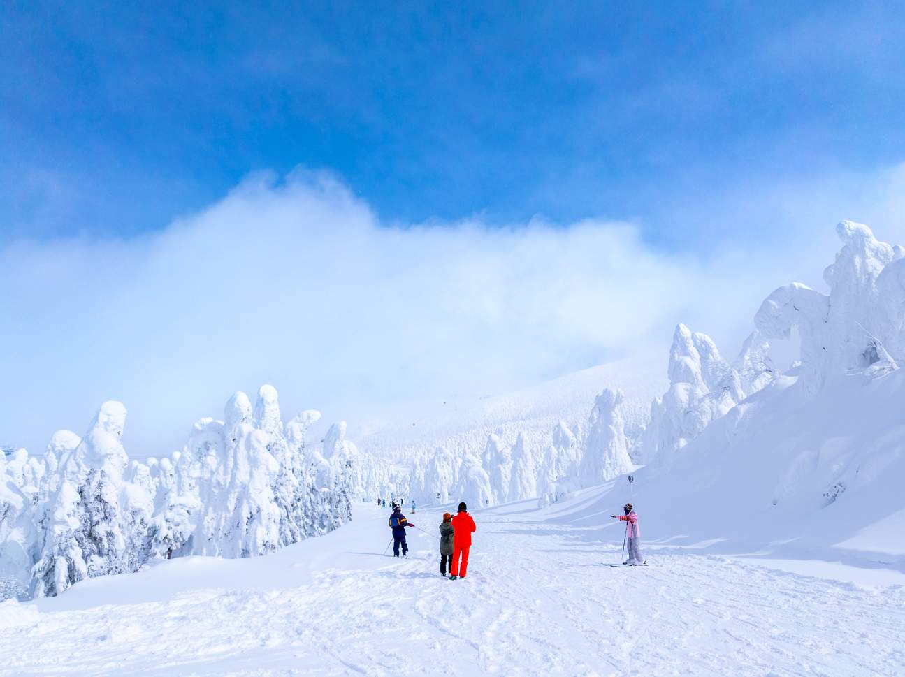 Lezioni private di sci e servizio fotografico in inglese e cinese presso il comprensorio sciistico di Zao Onsen