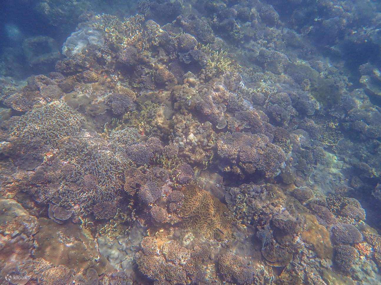 Esperienza di snorkeling a Shihtiping