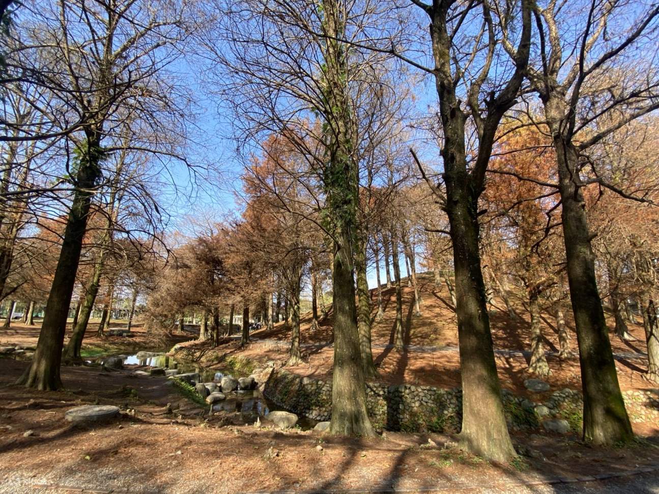 Yilan gechartertes Auto, eintägiger Transfer