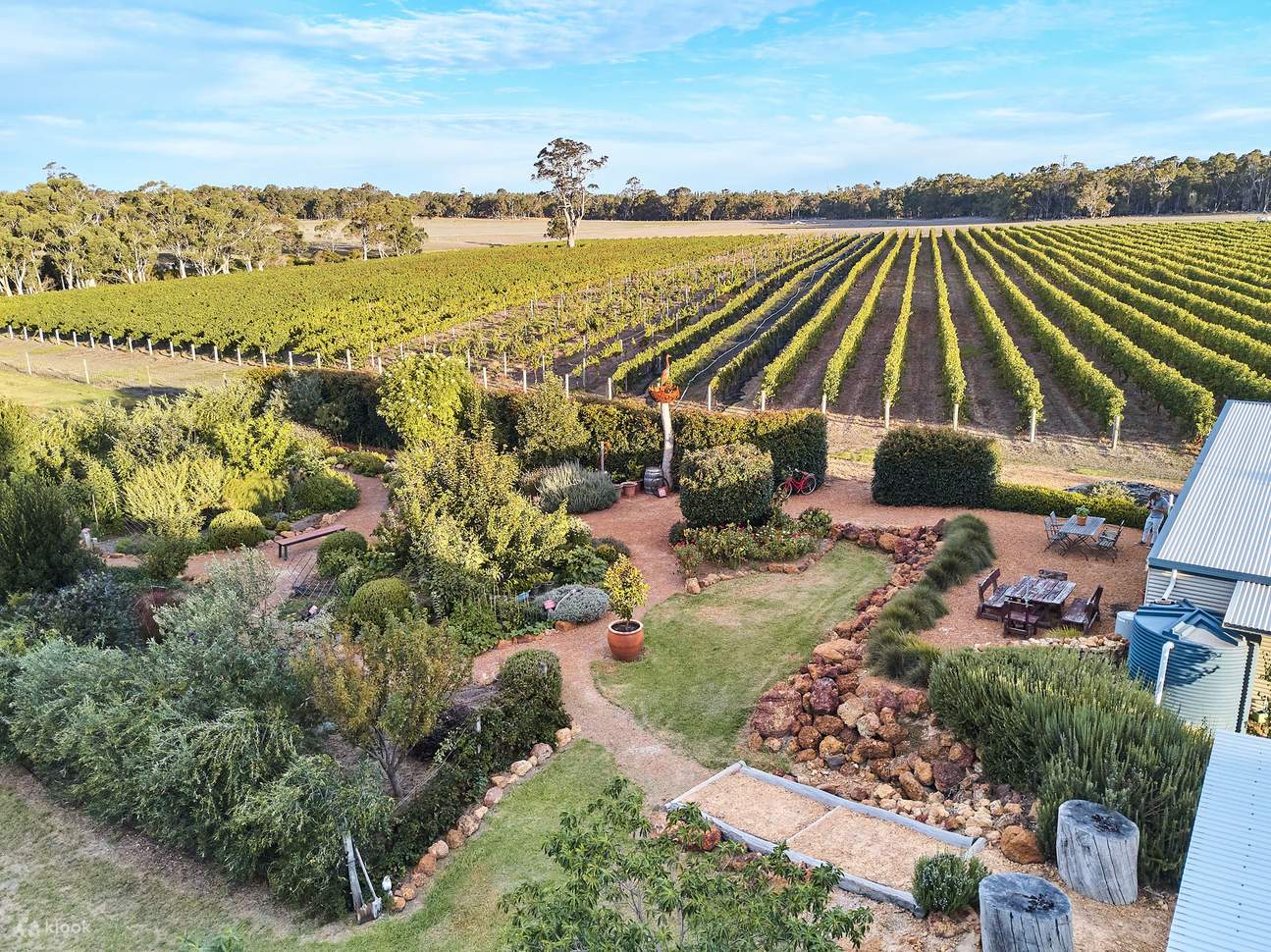 เยี่ยมชม วิชเชอร์ ริดจ์ (Whicher Ridge) โรงบ่มไวน์ที่ไม่เหมือนใคร ซึ่งจะนำคุณไปสู่การผจญภัยสุดเร้าใจ