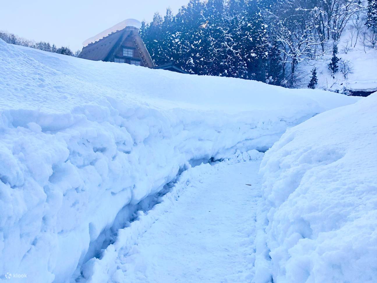 Shirakawa-go Winter Light-Up and Hida Takayama Day Trip Bus Tour (From  Nagoya) - Klook Singapore