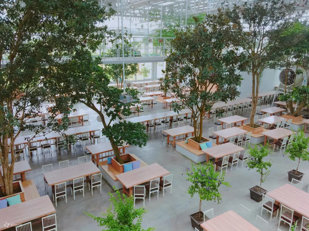 在室外花园放松身心，欣赏花草，享受下午茶餐点