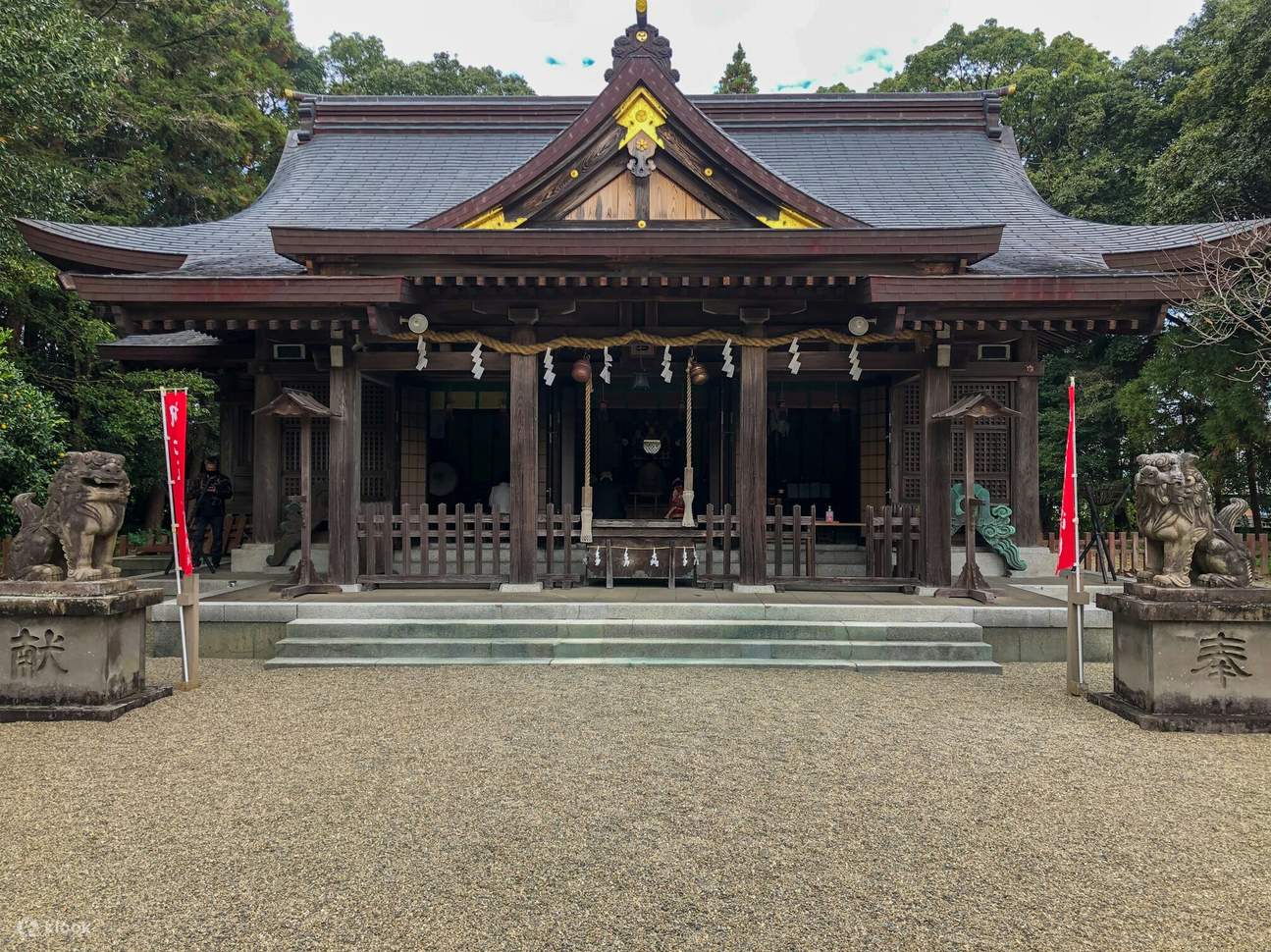 Kyoto & TeamLab Biovortex Experience Walking Tour - Klook United Kingdom