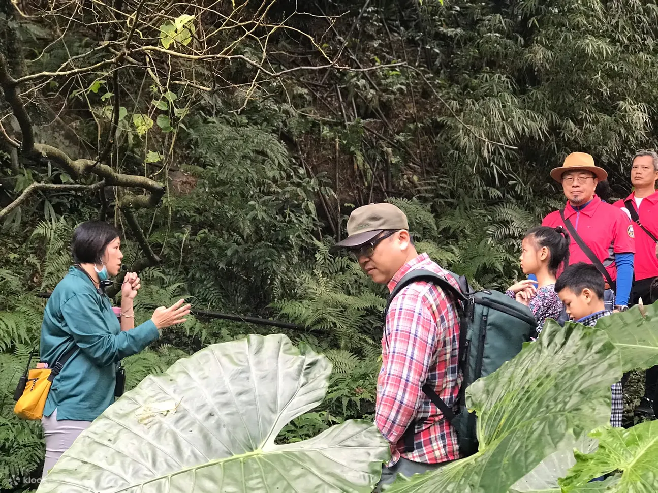 拉波波村露营