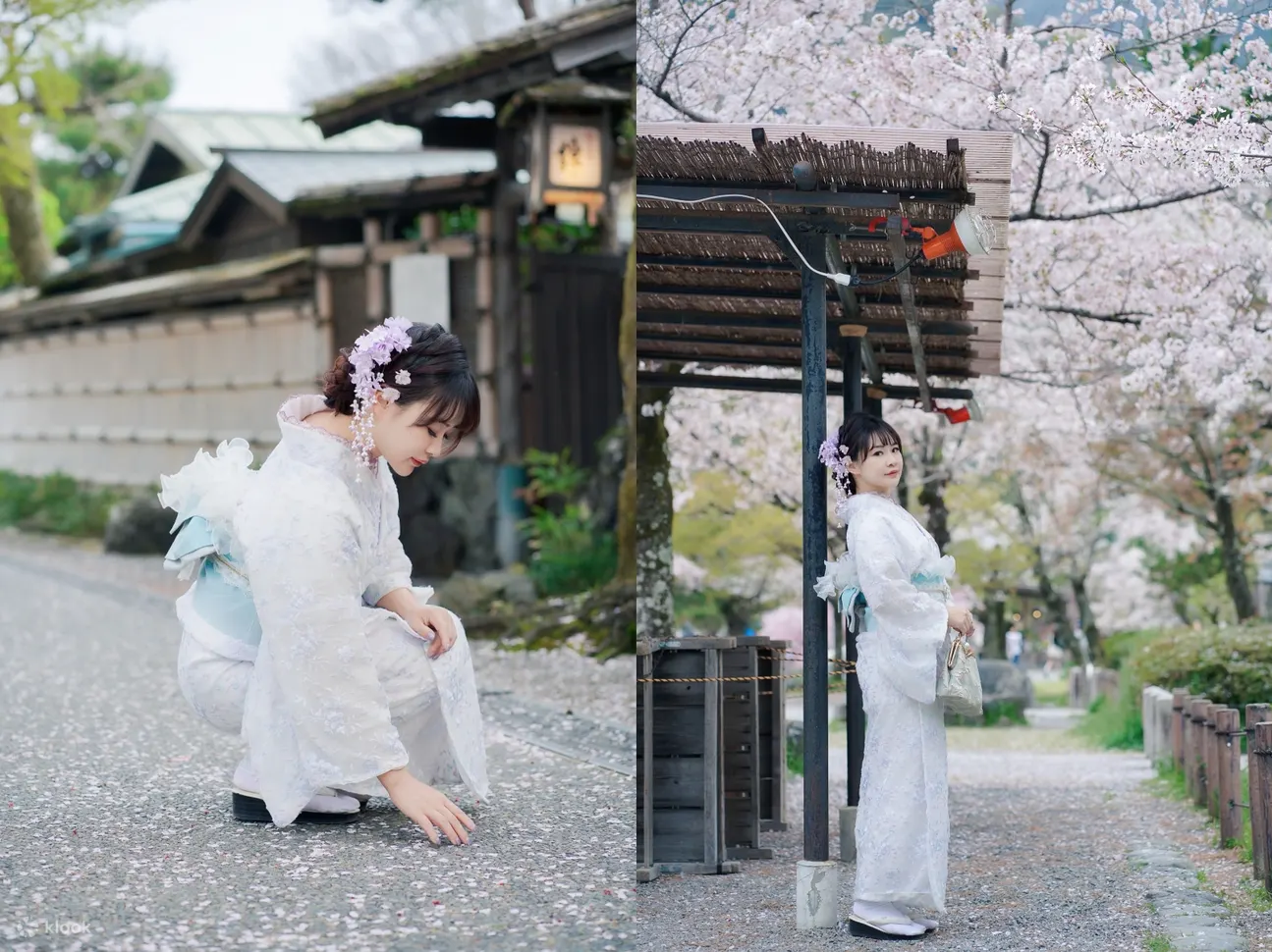 京都岚山：摄影服务 family/couple/solo/group