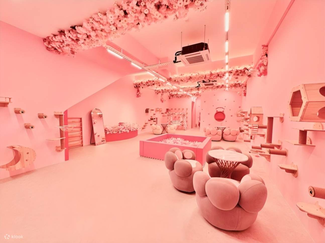 Inuyama Cat Cafe è a pochi minuti da AEON Bukit Indah!