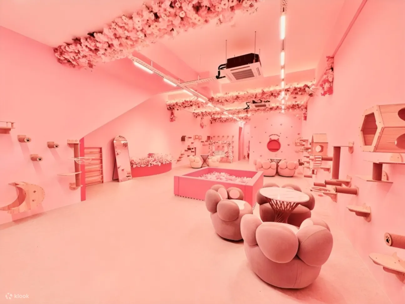 Inuyama Cat Cafe 距离 AEON Bukit Indah 仅几分钟路程！