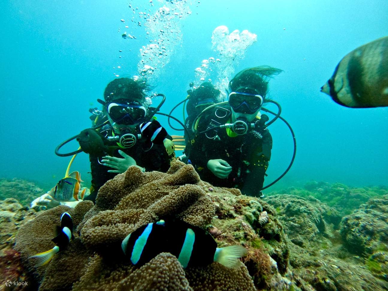 Xiaoliuqiu|Scuba diving experience|Qinglv Bubble Diving Resort Center ...