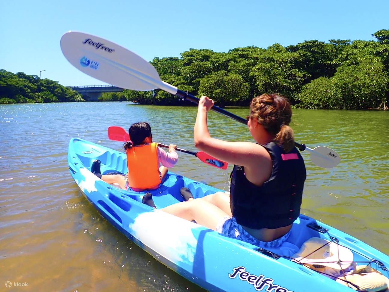 Sup/canoe Tour At Mangrove Forest And Snorkeling Tour At Fantom Island